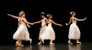 Gala de danse classique 14 ans à jeunes adultes 2026